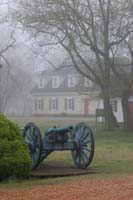 Canon in Fog